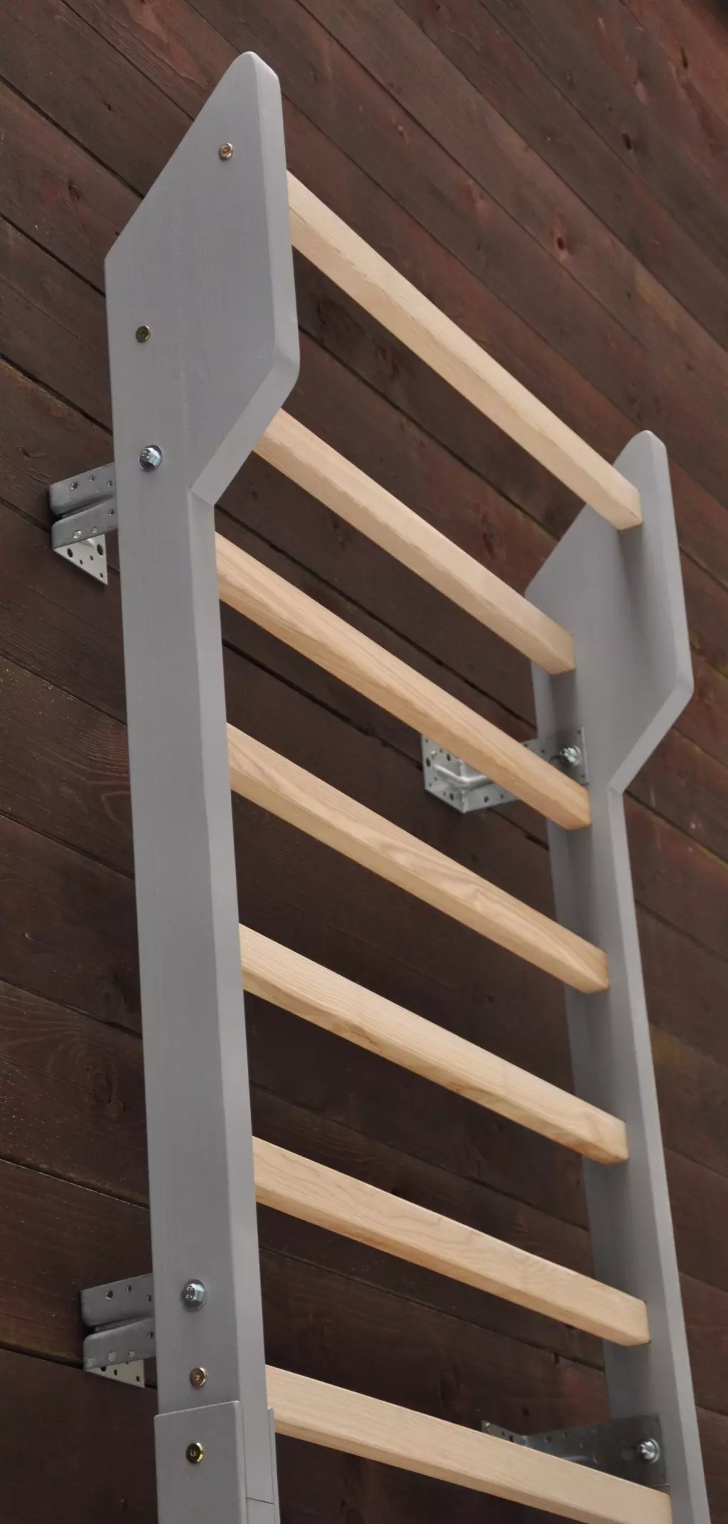 Vingrošanas sienas bērniem un pieauguājiem, lai uzlabotu ģimenes veselību mājās apstakļos : kustīgumu, lokanību, spēku; mājas fizioterapijas iekārtas skoliozes ārstēšanai un profilaksei.